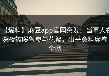 【爆料】麻豆app官网突发：当事人在深夜被曝曾参与花絮，出乎意料席卷全网