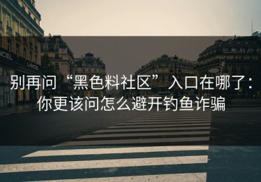 别再问“黑色料社区”入口在哪了：你更该问怎么避开钓鱼诈骗