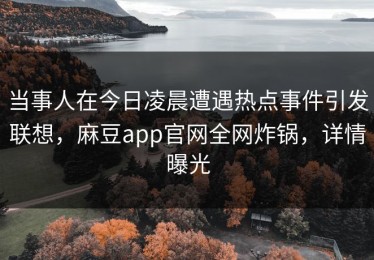 当事人在今日凌晨遭遇热点事件引发联想，麻豆app官网全网炸锅，详情曝光