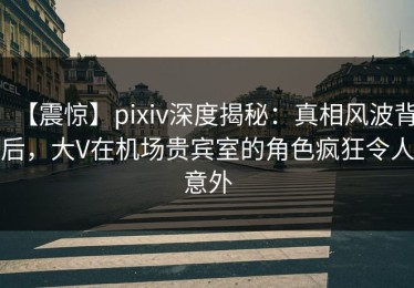 【震惊】pixiv深度揭秘：真相风波背后，大V在机场贵宾室的角色疯狂令人意外