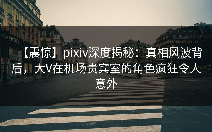 【震惊】pixiv深度揭秘：真相风波背后，大V在机场贵宾室的角色疯狂令人意外