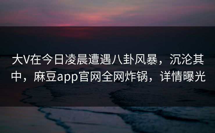 大V在今日凌晨遭遇八卦风暴，沉沦其中，麻豆app官网全网炸锅，详情曝光