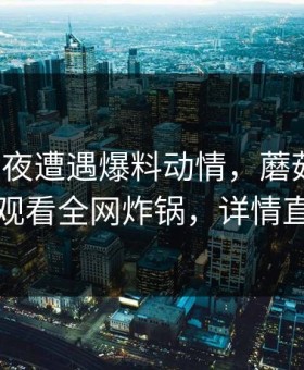大V在深夜遭遇爆料动情，蘑菇影视在线观看全网炸锅，详情直击