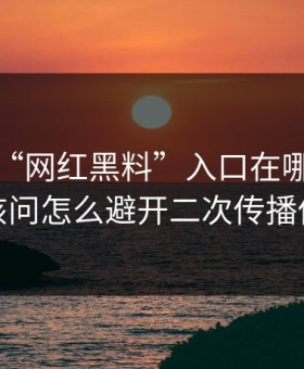 别再问“网红黑料”入口在哪了：你更该问怎么避开二次传播伤害