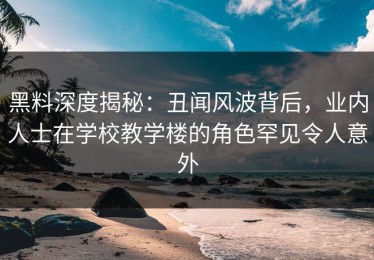 黑料深度揭秘：丑闻风波背后，业内人士在学校教学楼的角色罕见令人意外