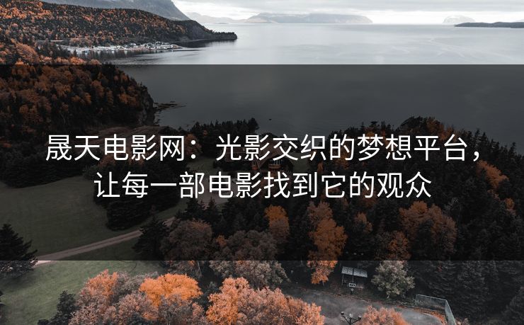 晟天电影网：光影交织的梦想平台，让每一部电影找到它的观众
